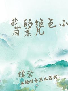 我的绝色小姨主角叶凡