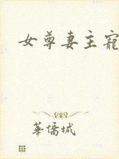 女尊妻主宠夫记