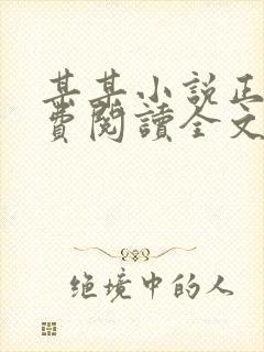 某某小说正版免费阅读全文txt