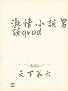 激情小说另类小说qvod