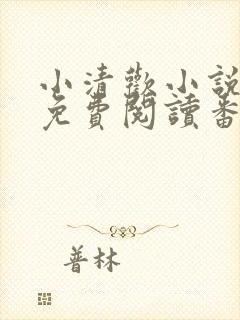 小清欢小说全文免费阅读番外篇