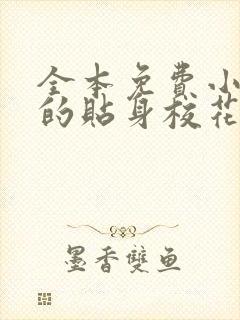 全本免费小说我的贴身校花