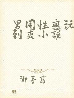 男同性恋玩jj到爽小说