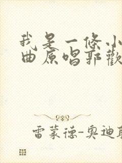 我是一条小河歌曲原唱郭欢