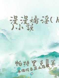 漫漫娇淫( h )小说
