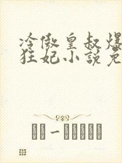 冷傲皇叔爆宠小狂妃小说免费阅读