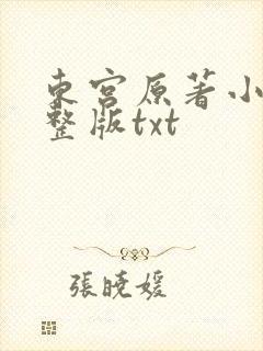 东宫原著小说完整版txt