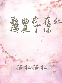 歌曲我在红尘中遇见了你