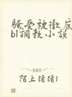 骚受被彻底草坏bl调教小说