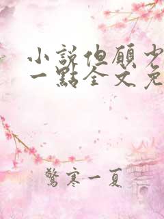 小说但愿少爱你一点全文免费阅读