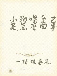 小狗喝自己的尿是怎么回事