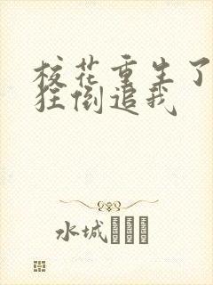 校花重生了,疯狂倒追我