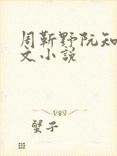 周靳野阮知夏全文小说