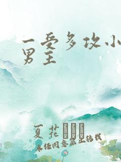 一受多攻小说双男主