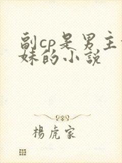 副cp是男主妹妹的小说