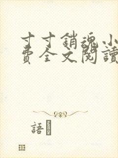 寸寸销魂小说免费全文阅读一