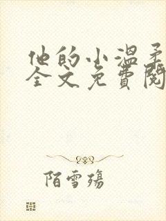 他的小温柔小说全文免费阅读