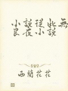 小说从此无心爱良夜小说