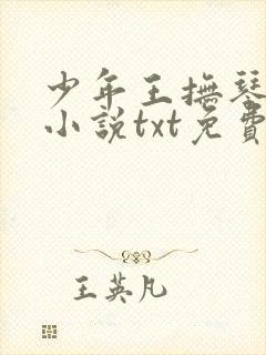 少年王抚琴的人小说txt免费下载