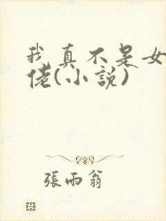 我真不是女装大佬(小说)