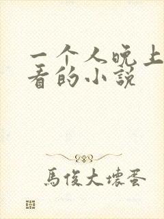 一个人晚上偷偷看的小说