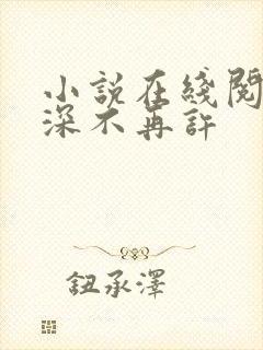 小说在线阅读情深不再许