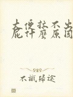 大便拉不出只放屁什么原因