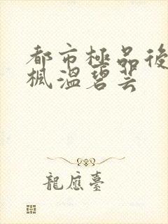 都市极品后宫唐枫温碧芸