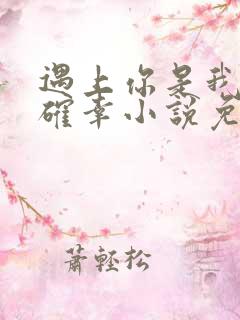 遇上你是我的小确幸小说免费阅读