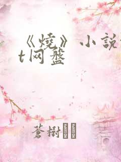 《烧》小说txt网盘