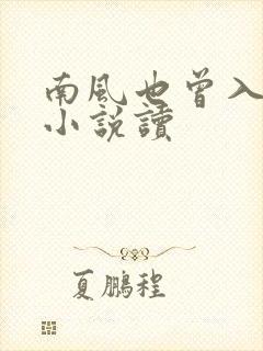 南风也曾入我怀小说读
