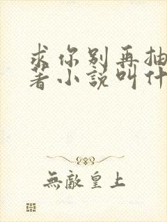 求你别再抽了原著小说叫什么