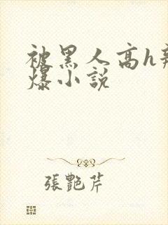 被黑人高h辣文爆小说