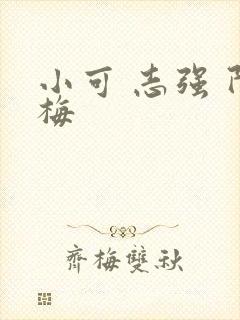 小可 志强 阿梅