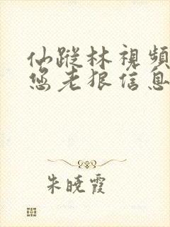 仙踪林视频欢迎您老狼信息