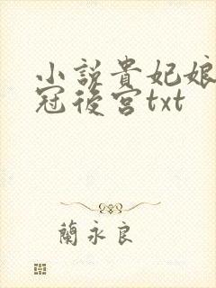 小说贵妃娘娘宠冠后宫txt