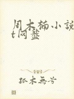 周木楠小说txt网盘