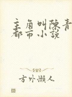 主角叫陈青帝的都市小说