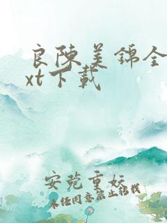 良陈美锦全本txt下载