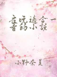 夜晚适合一个人看的小说