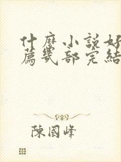 什么小说好看推荐几部完结的言情