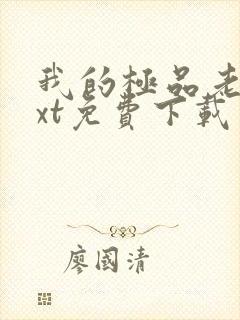 我的极品老婆txt免费下载