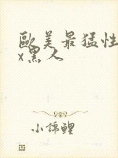 欧美最猛性xxx黑人