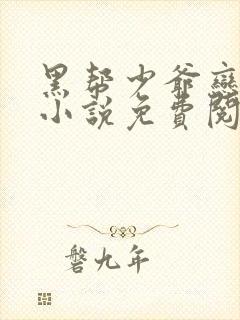 黑帮少爷恋上我小说免费阅读