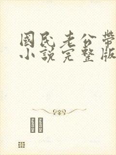 国民老公带回家小说完整版