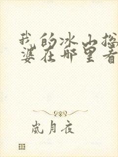 我的冰山总裁老婆在哪里看小说
