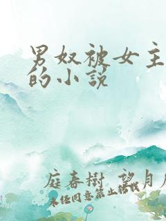 男奴被女主玩弄的小说