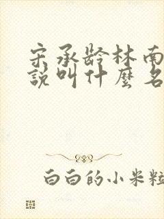 宋承龄林南薇小说叫什么名字