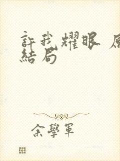 许我耀眼 原著结局