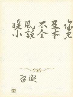 暖风不及你情深小说全本免费